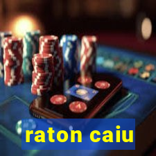 raton caiu